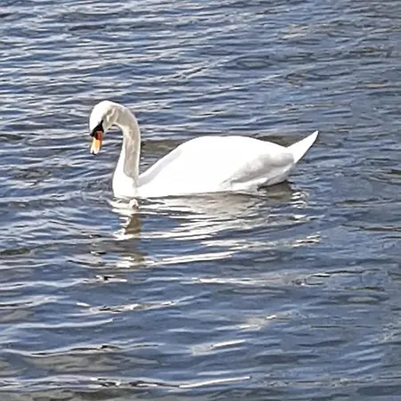 Unique Water Tiny Hausboot Fuer 2 Personen 보트호텔 *